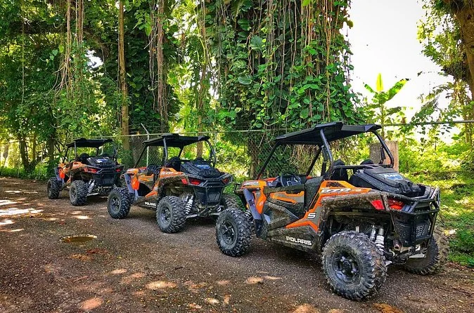 Quad Rastasafari avec baignade en rivière et déjeuner