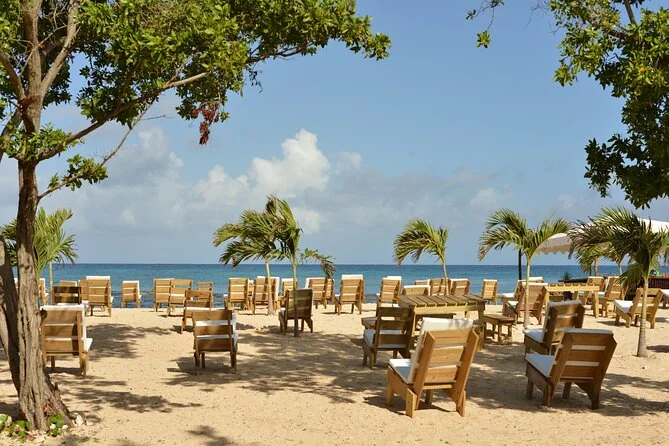 Wooden loungers and tables under palm trees on a sandy beach